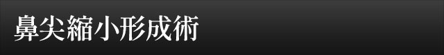 鼻尖縮小形成術