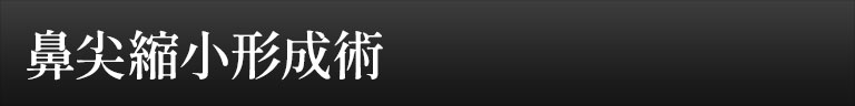 鼻中隔延長術
